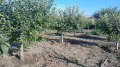 Продава КЪЩА, с. Житница, област Варна, снимка 15