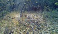Продава ПАРЦЕЛ, гр. София, с. Бистрица, снимка 2