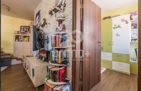 ����� ������� 3-�����,���� �����, ���� �����