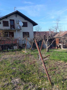 ������ ������� ����