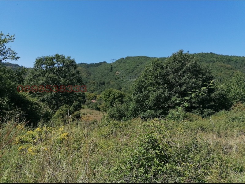 Продава ЗЕМЕДЕЛСКА ЗЕМЯ, с. Гюешево, област Кюстендил, снимка 4 - Земеделска земя - 52781087