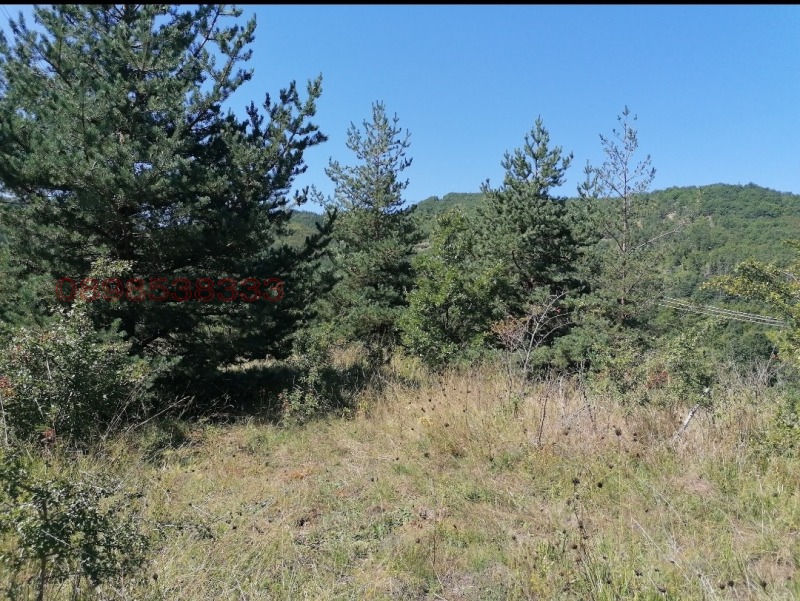 Продава ЗЕМЕДЕЛСКА ЗЕМЯ, с. Гюешево, област Кюстендил, снимка 11 - Земеделска земя - 52781087