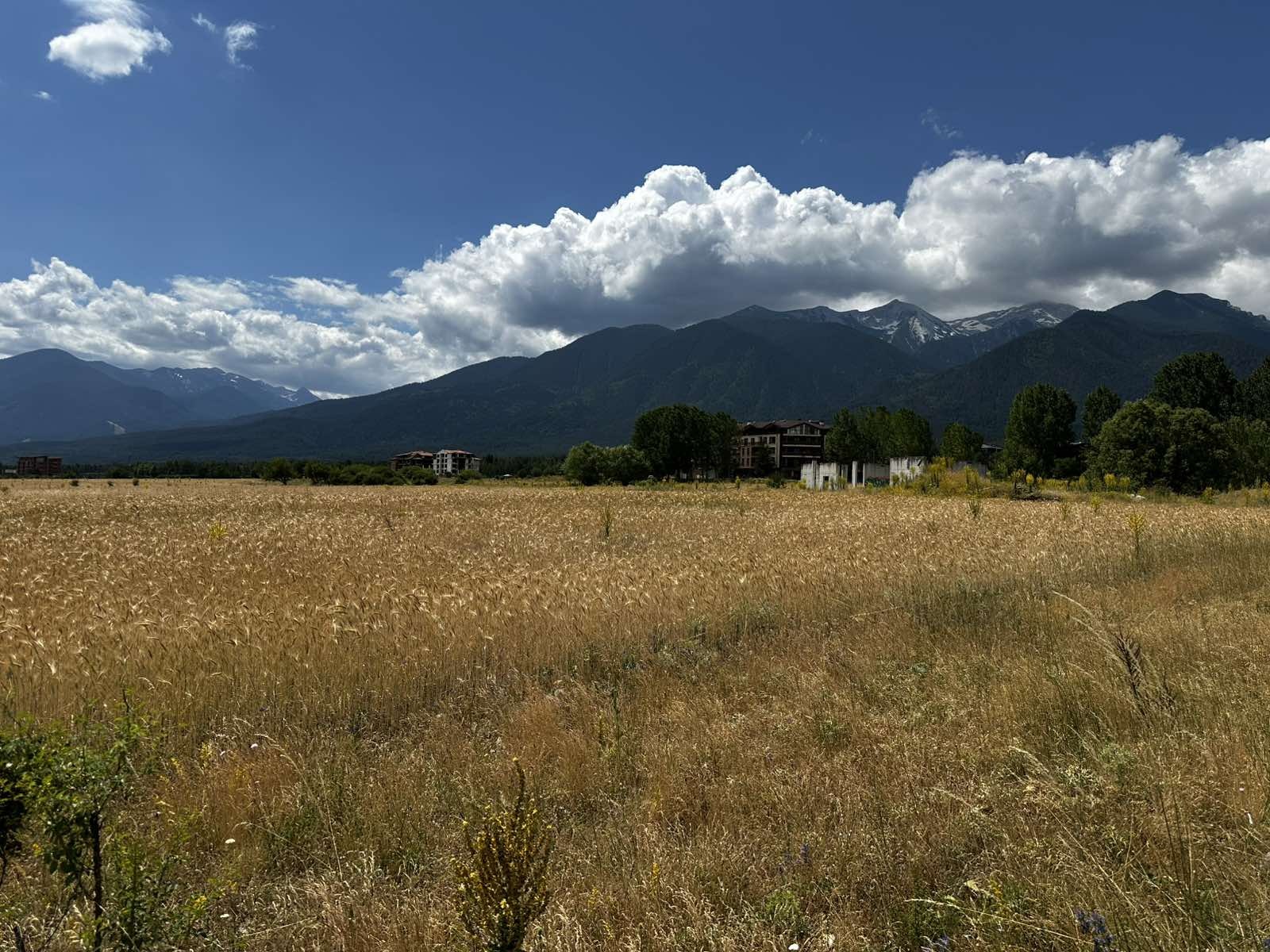 Продава ПАРЦЕЛ, гр. Разлог, област Благоевград, снимка 8 - Парцели - 55185263