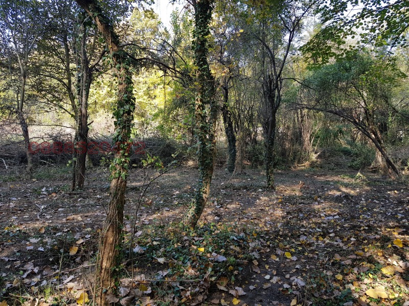 Na prodej  Spiknutí oblast Stará Zagora , Starozagorski bani , 4000 m2 | 96701277 - obraz [3]