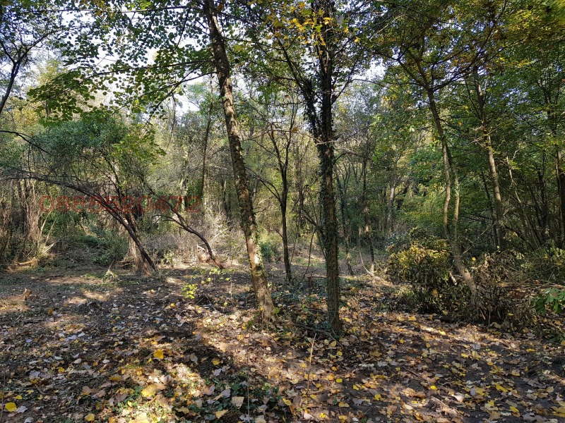 Na prodej  Spiknutí oblast Stará Zagora , Starozagorski bani , 4000 m2 | 96701277 - obraz [2]