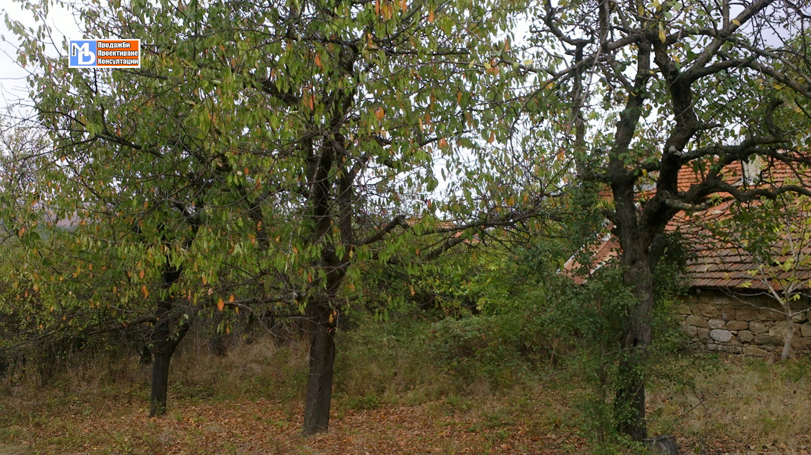 Продава ПАРЦЕЛ, с. Завет, област Бургас