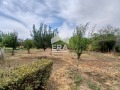 Продава  Къща област Плевен , с. Бреница , 101 кв.м | 70817689 - изображение [17]
