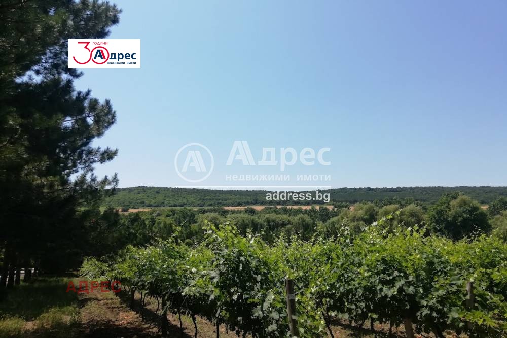 ������� ������ | Imot.bg � ����������� 4