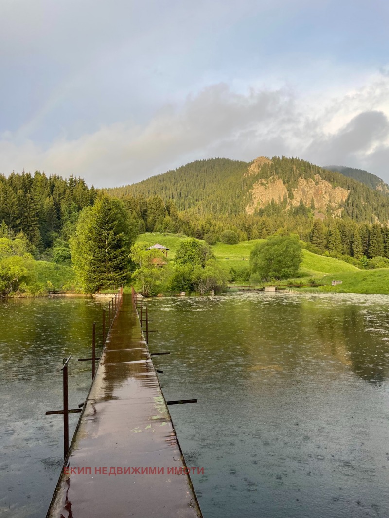Til salg  Hotel region Smolyan , Mugla , 300 kvm | 63691912 - billede [10]