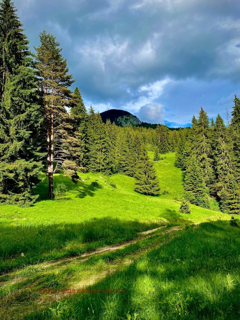 Til salg  Hotel region Smolyan , Mugla , 300 kvm | 63691912 - billede [11]