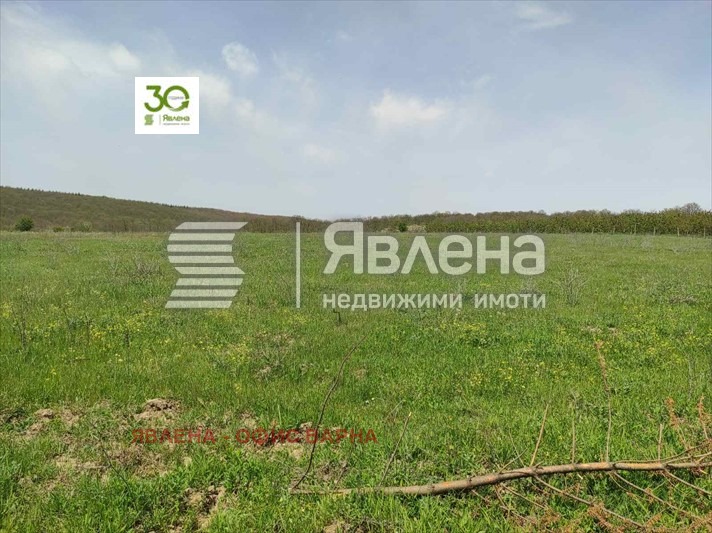 Продава  Парцел област Варна , с. Приселци , 18000 кв.м | 18824125