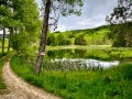 Продава ХОТЕЛ, област Смолян, с. Мугла • 350000 € / 684540.50 лв. • 81779102 12
