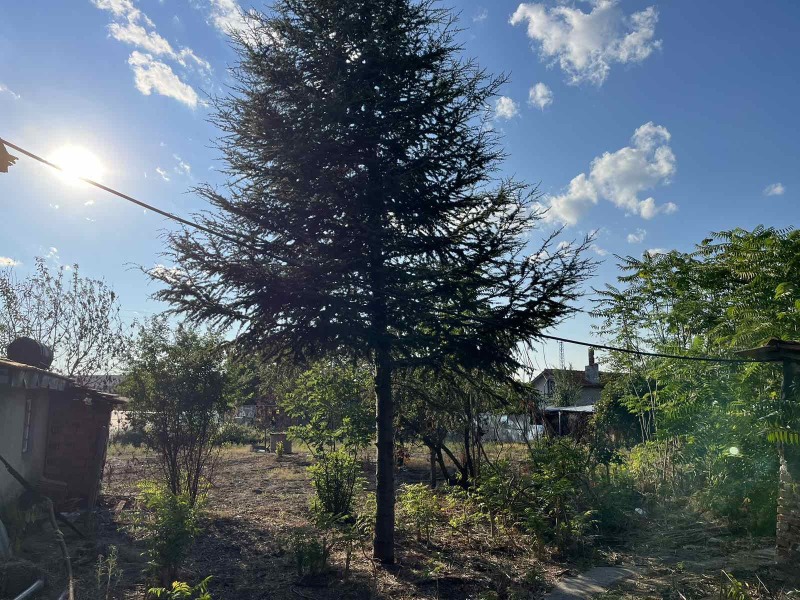 Продава КЪЩА в област Стара Загора, гр. Раднево - 236 кв.м / 43 459.81 € » 85 000 лв., АУГУСТА-НС БЕЗ КОМИСИОНИ-МГ-БОРУЙ-АЛАНА-5ОУ-СЦ-АЯЗМО-КИПАРИС-БКП-БИЛА-ЖЕЛЕЗНИК