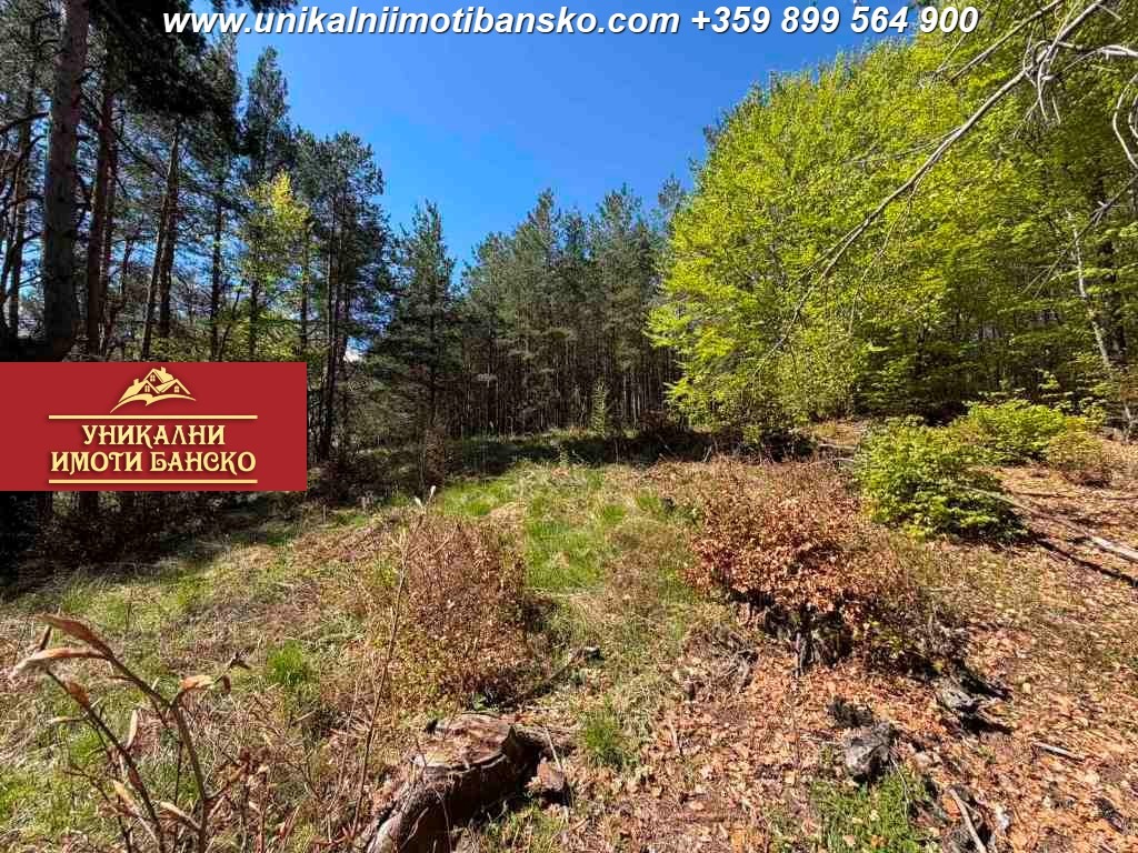 ������� ������ | Imot.bg � ����������� 7
