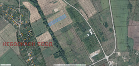 ����� ������� ������,�. ���������, ������ �����