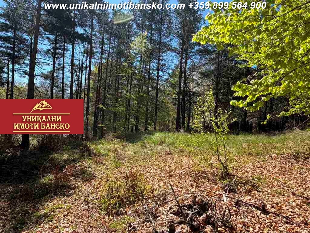 Продава ПАРЦЕЛ, гр. Банско, област Благоевград, снимка 5 - Парцели - 54344119