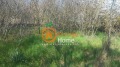 Продава ПАРЦЕЛ, с. Новаково, област Варна, снимка 7