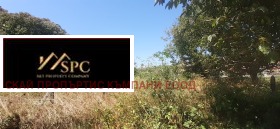 ������ ������� ������