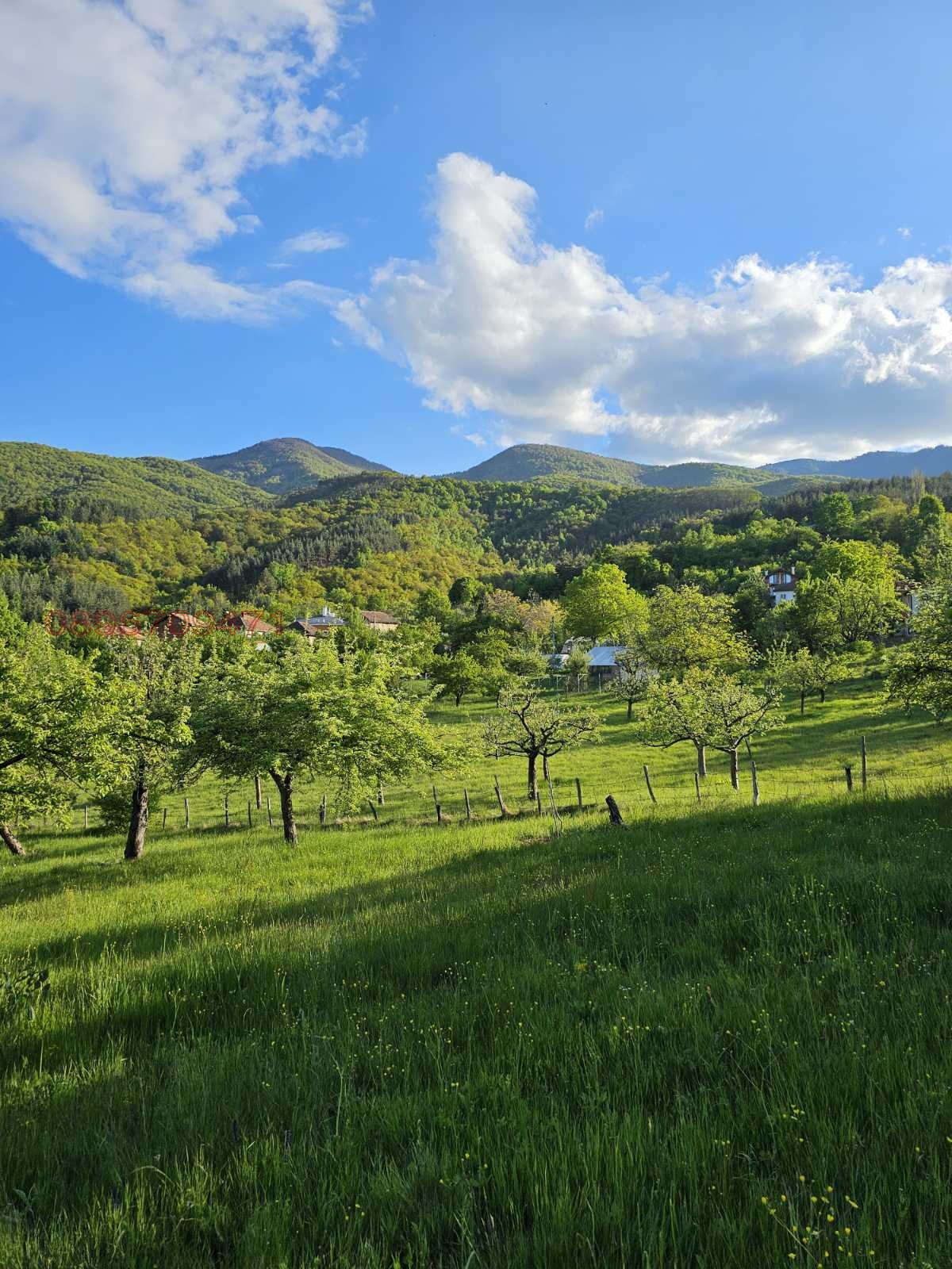 ������� ������ | Imot.bg � ����������� 4