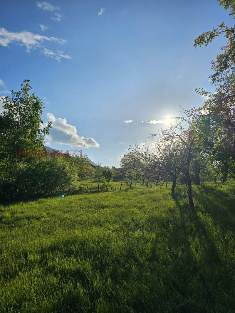 Продава ПАРЦЕЛ, с. Жиленци, област Кюстендил, снимка 15 - Парцели - 52962115