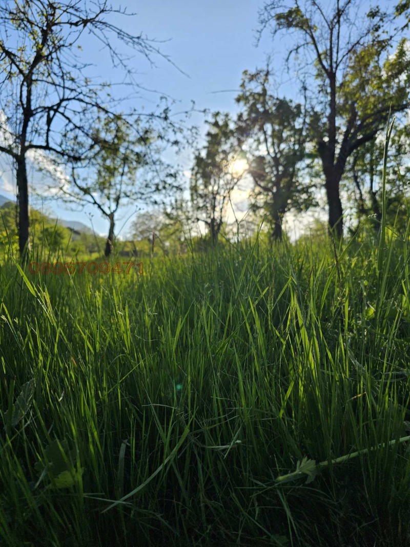 Продава ПАРЦЕЛ, с. Жиленци, област Кюстендил, снимка 16 - Парцели - 52962115