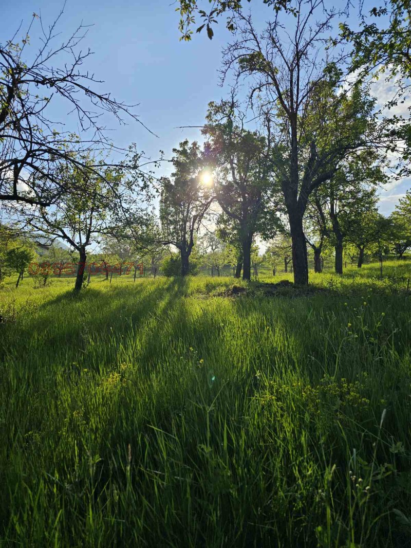 Продава ПАРЦЕЛ, с. Жиленци, област Кюстендил, снимка 14 - Парцели - 52962115