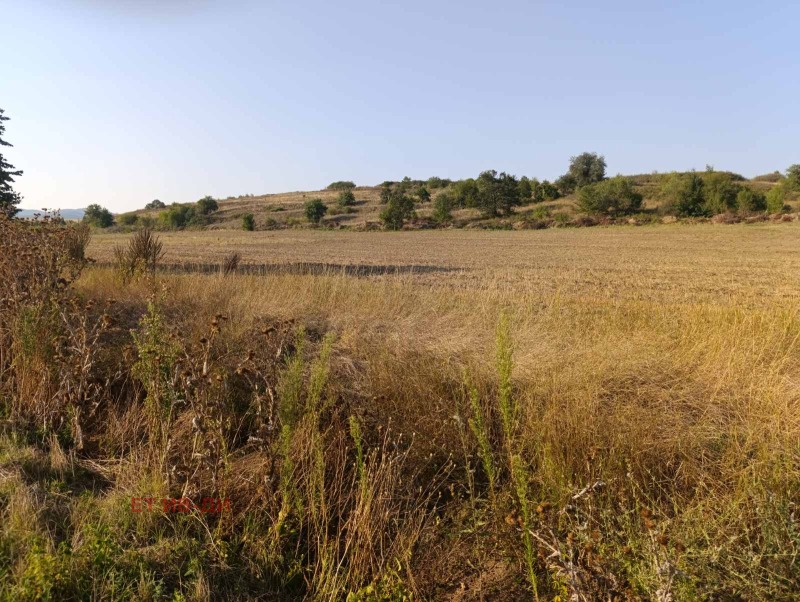 Продаја  Плот регион Софиа , Костенец , 2700 м2 | 13429054 - слика [2]