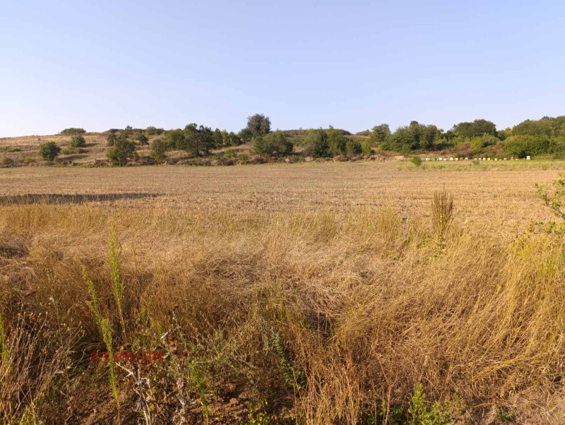 Продаја  Плот регион Софиа , Костенец , 2700 м2 | 13429054 - слика [4]