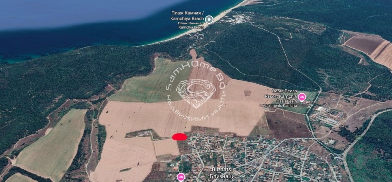 À vendre  Parcelle région Varna , Bliznatsi , 19000 m² | 77398868 - image [2]