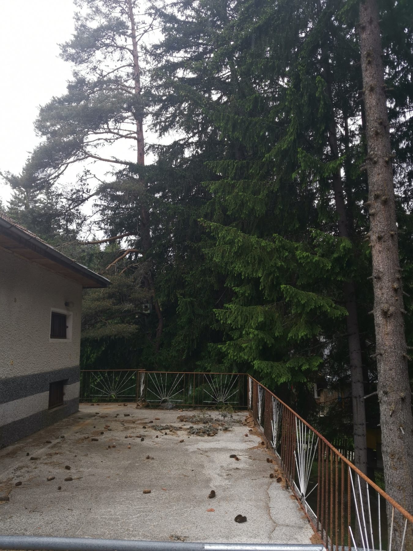 Продава ВИЛА, с. Фотиново, област Пазарджик, снимка 4 - Вили - 56071584