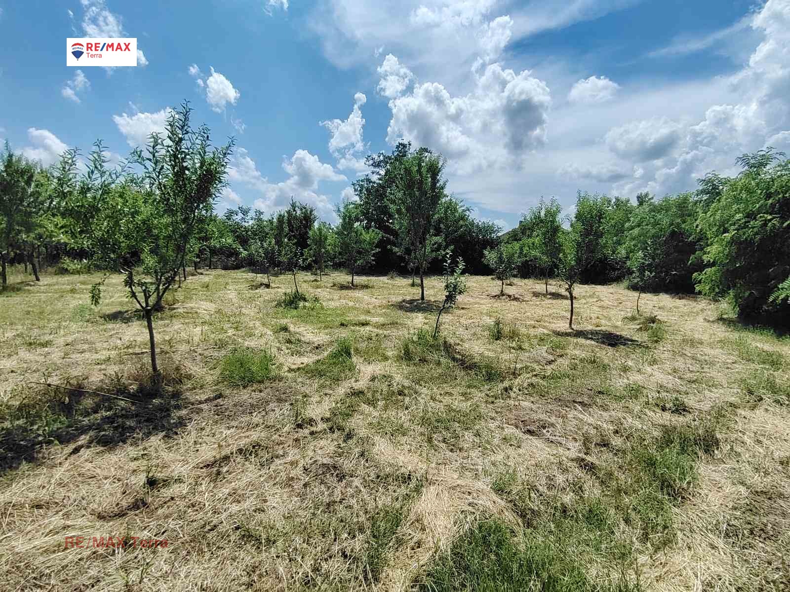 Продава ПАРЦЕЛ, с. Хърлец, област Враца, снимка 8 - Парцели - 54809789