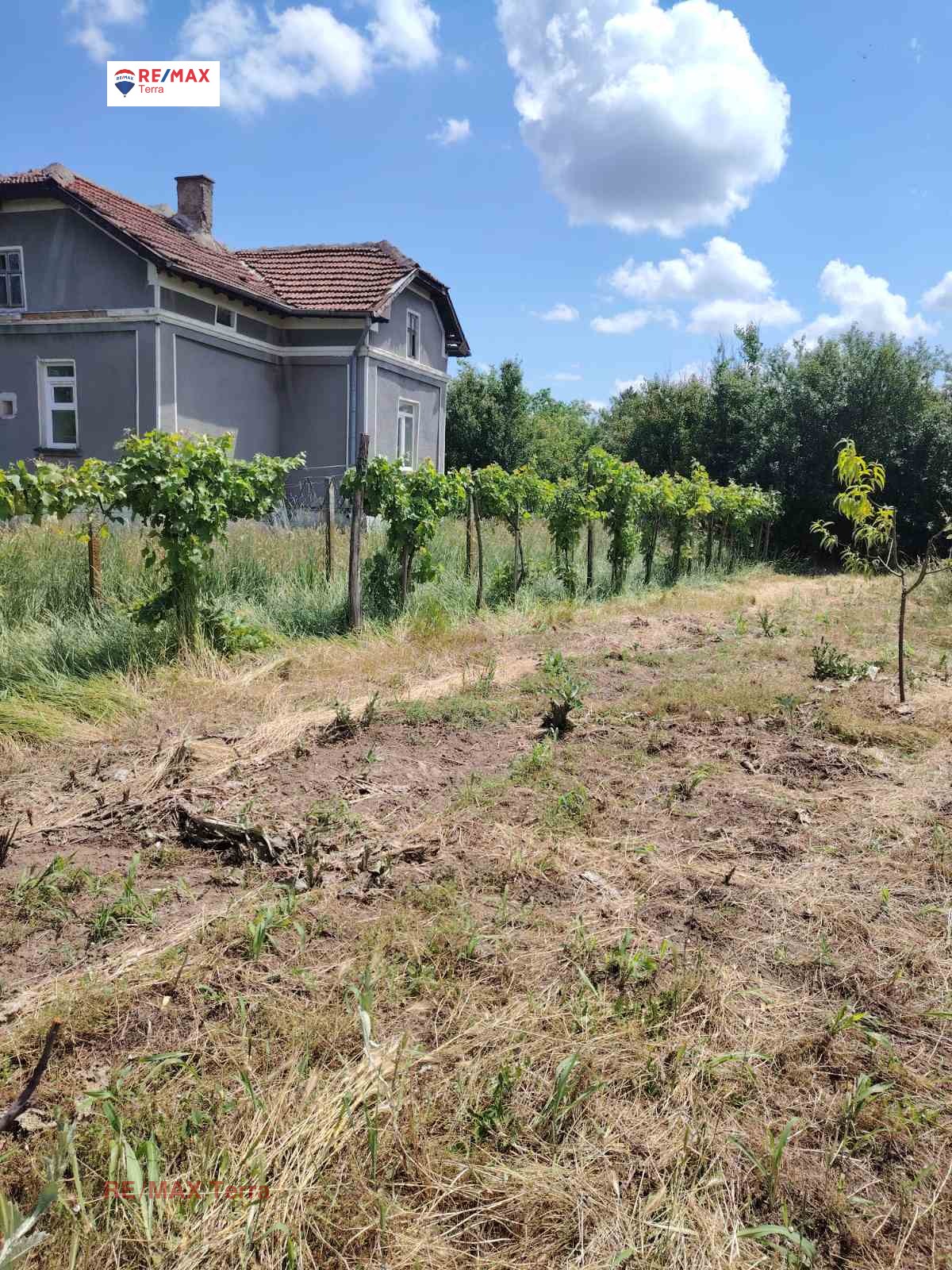 Продава ПАРЦЕЛ, с. Хърлец, област Враца, снимка 4 - Парцели - 54809789