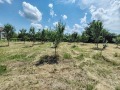 Продава ПАРЦЕЛ, с. Хърлец, област Враца, снимка 6