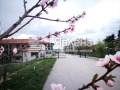Продава  2-стаен област Варна , с. Приселци , 60 кв.м | 41733392 - изображение [11]