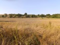 Продава ПАРЦЕЛ, област София, гр. Костенец • 175500 € • 57001386 — Holmes.bg