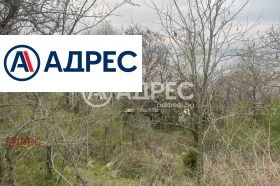 Плот Константиново, Варна 6