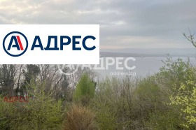 Плот Константиново, Варна 3