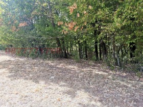 ������� ������ | Imot.bg � ����� ������ 3