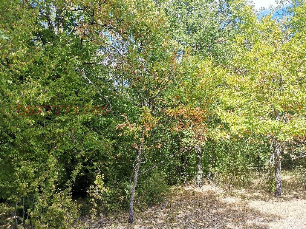 Продава ПАРЦЕЛ, с. Чавдар, област София област, снимка 5 - Парцели - 54934219