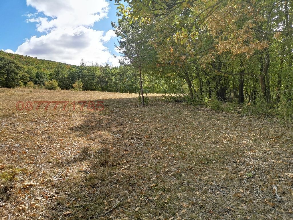 Продава ПАРЦЕЛ, с. Чавдар, област София област, снимка 2 - Парцели - 54934219