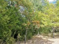 Продава ПАРЦЕЛ, с. Чавдар, област София област, снимка 5