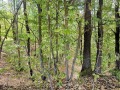 Продава ПАРЦЕЛ, с. Чавдар, област София област, снимка 6