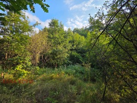 ������� ������ | Imot.bg � ����� ������ 4