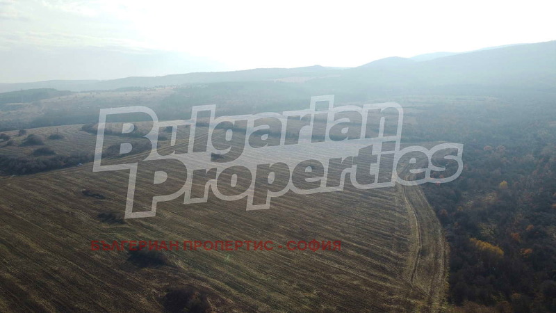 For Sale  Plot region Sofia , Novi han , 36339 sq.m | 48121660 - image [6]