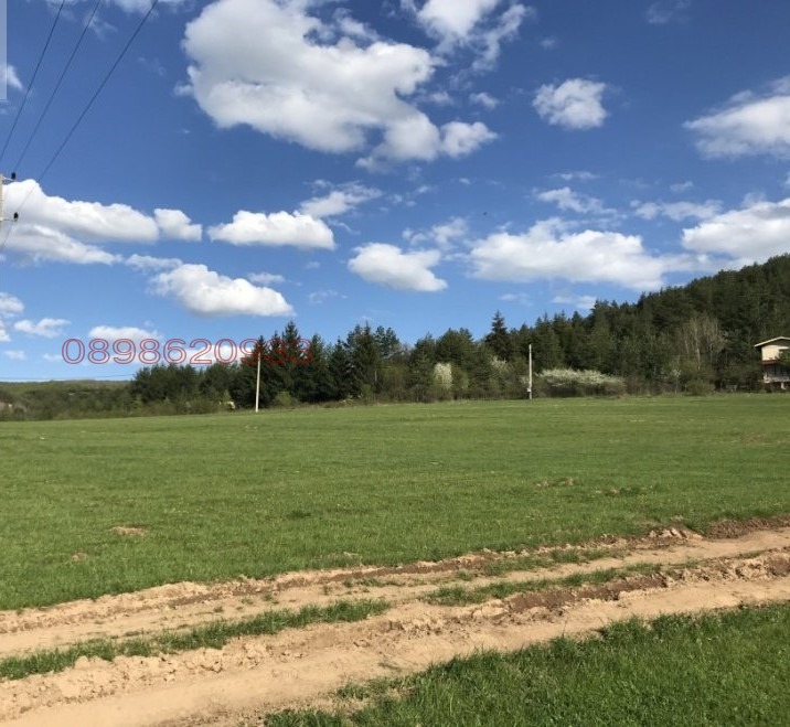 Продава  Земеделска земя област Перник , с. Боснек , 1.46 дка | 66388913 - изображение [3]