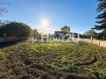 Продава КЪЩА, с. Безводица, област Добрич, снимка 16