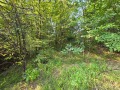 Продава ПАРЦЕЛ, гр. Троян, област Ловеч, снимка 5