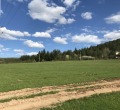 Продава ЗЕМЕДЕЛСКА ЗЕМЯ, с. Боснек, област Перник, снимка 3