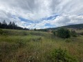 Продава ЗЕМЕДЕЛСКА ЗЕМЯ, с. Баня, област Благоевград, снимка 5