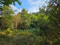 Продава  Парцел област Ловеч , гр. Троян , 500 кв.м | 99552602 - изображение [4]